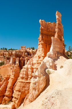 Hodoos in Bryce Canyon