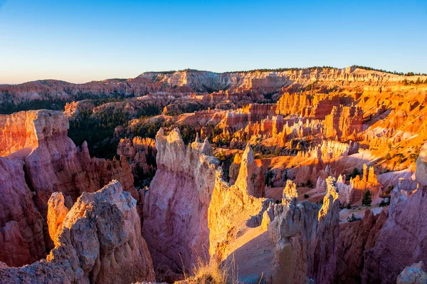 Soluppgång i bryce canyon — Stockfoto