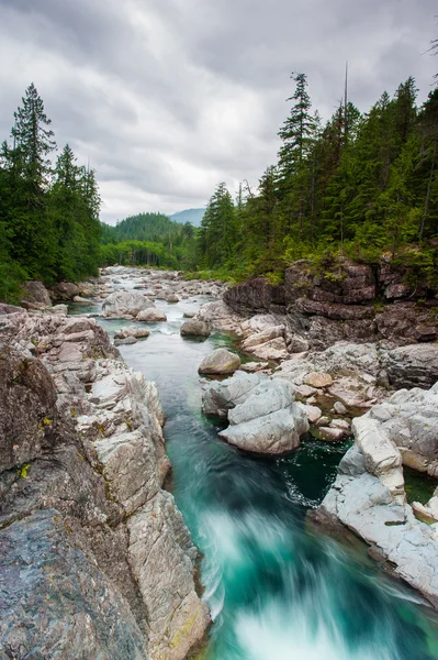 Fluss auf utton pass, vancouver island — Stockfoto