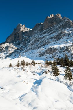 grindelwald yukarıda wetterhorn