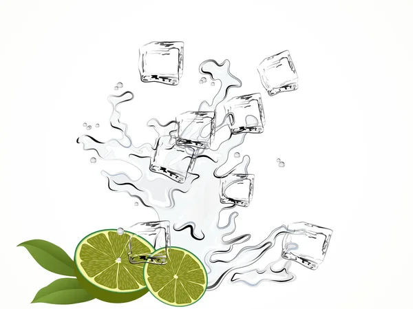Limefrukterna och vatten — Stock vektor