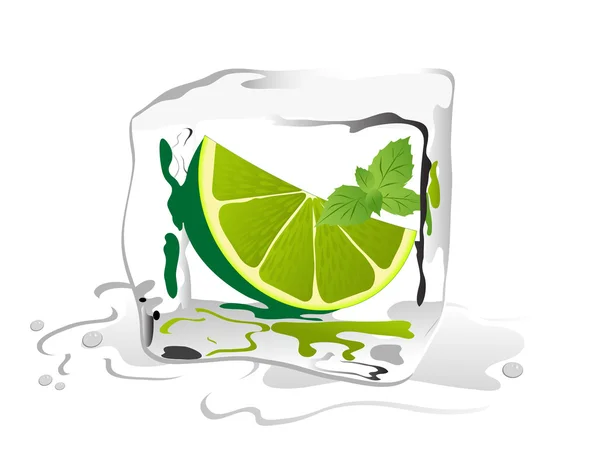 Lime in ice cube — Stock Vector