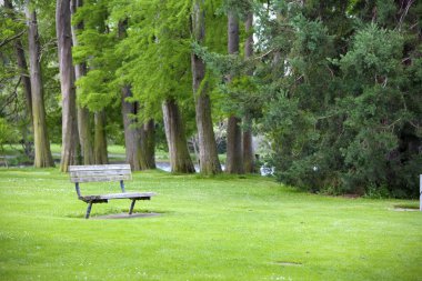 Quiet corner of lush green park with a bench clipart