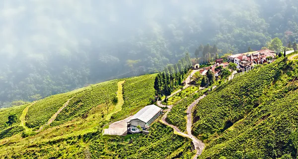 Vista de Darjeeling cidade, Rainha de Hills, Jardim de plantação de chá, nevoeiro rolando para baixo da colina — Fotografia de Stock