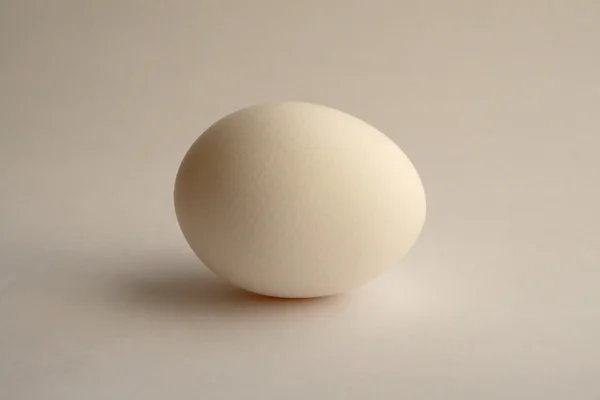 stock image Single egg.