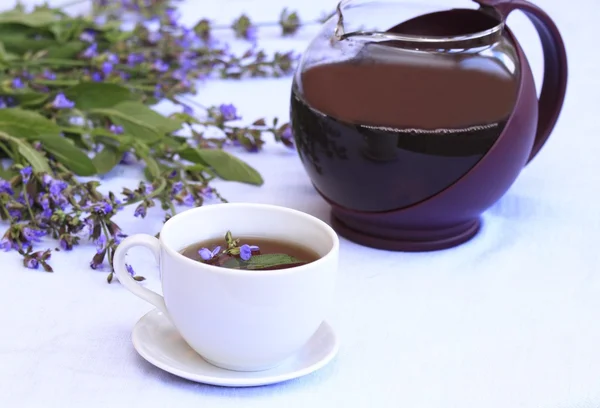 Herbaty szałwi — Zdjęcie stockowe