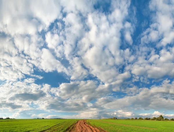 Schöner blauer Himmel mit Wolken und grünem Feld — Stockfoto