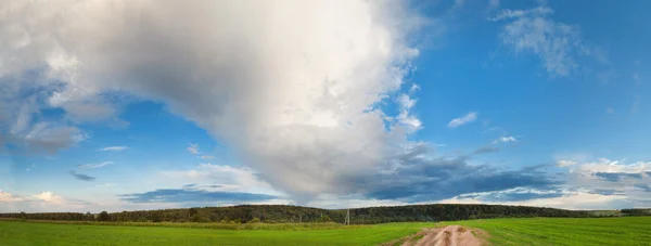 Landschap met diepblauwe lucht en groen veld — Stockfoto