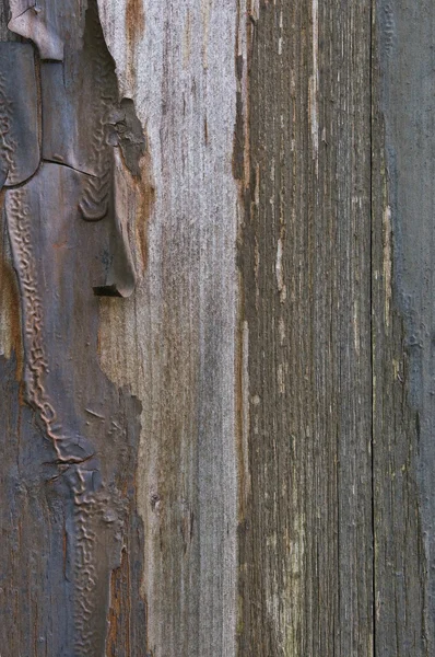 Régi éves viharvert grunge-a peel színű fa szerkezetű, részletes vert — Stock Fotó