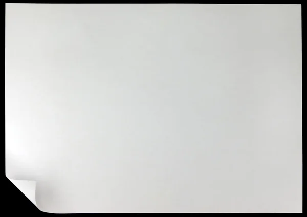 คดเคี้ยวหน้าขาว — ภาพถ่ายสต็อก