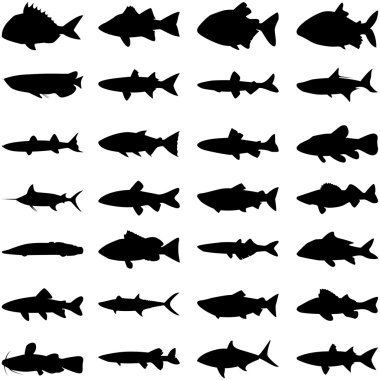 Fish silhouette clipart