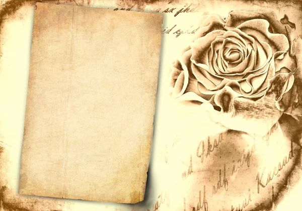 오래 된 종이와 장미 꽃 봉 오리 빈티지 배경 — 스톡 사진