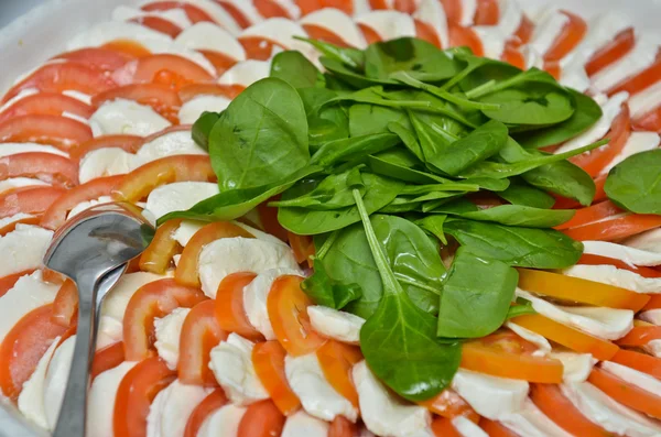 Mozzarella caprese italiano — Fotografia de Stock