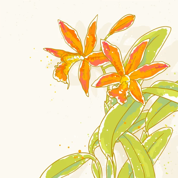 健美背景上的橙色兰花的分支 — 图库矢量图片