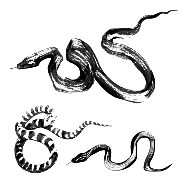 Serpents dans la peinture traditionnelle à l'encre chinoise — Image vectorielle