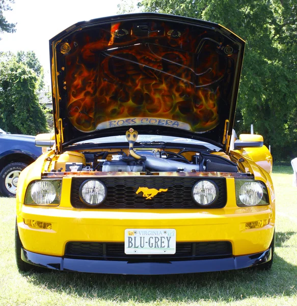 Mustang — Stock fotografie