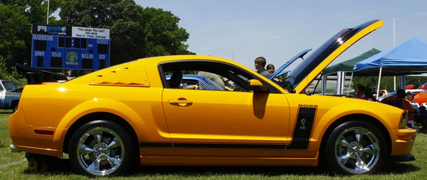 Cobra Mustang — Stok fotoğraf
