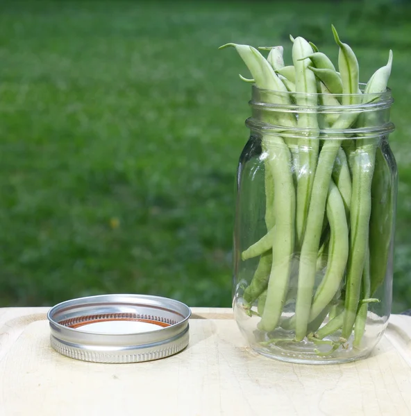 stock image Green beans