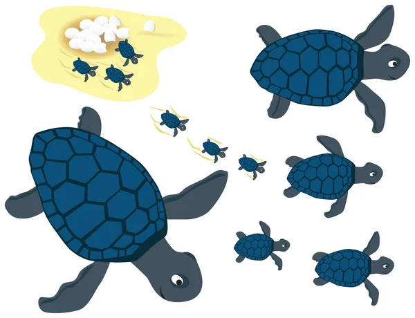 Голубые черепахи — стоковый вектор