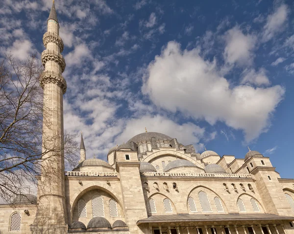 Mosquée d'Istanbul — Photo