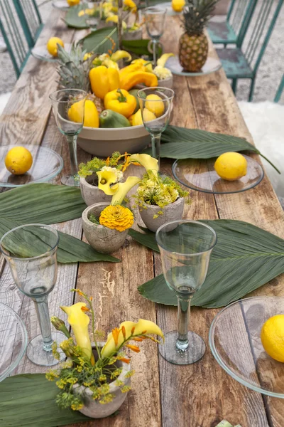Cenário de mesa para festa de jardim — Fotografia de Stock