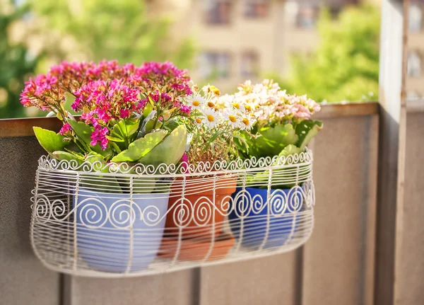 Balkon kwiat pole — Zdjęcie stockowe