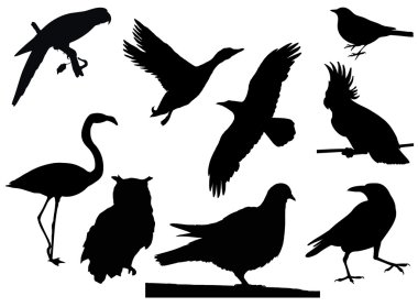 Birds silhouettes clipart