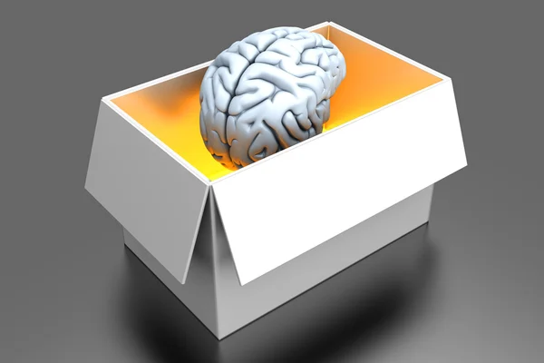 Hersenen in een doos — Stockfoto