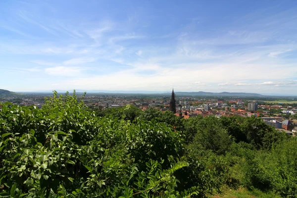 View over Freiburg im Breisgau — Stock Photo, Image