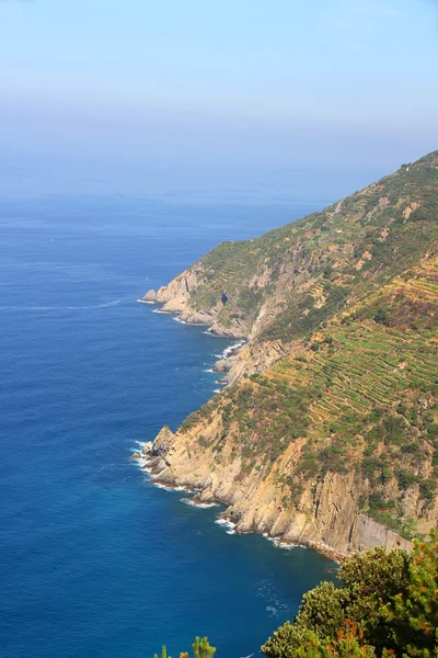 Vista sulla costa delle Cinque Terre — Foto Stock