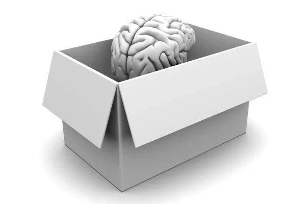 stock image Brain in a Box