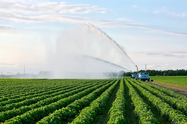 Irrigatie van landbouwgrond — Stockfoto