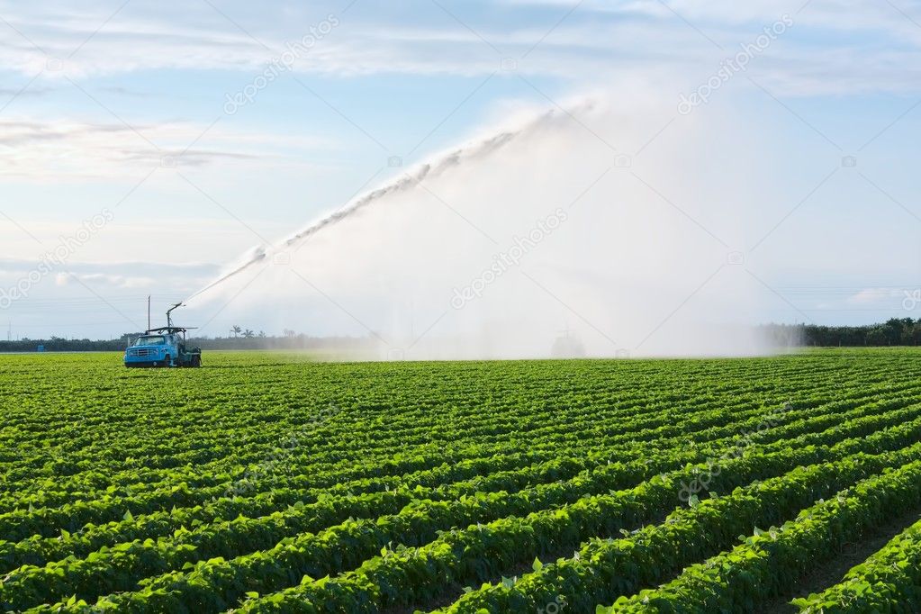 Irrigation of farmland