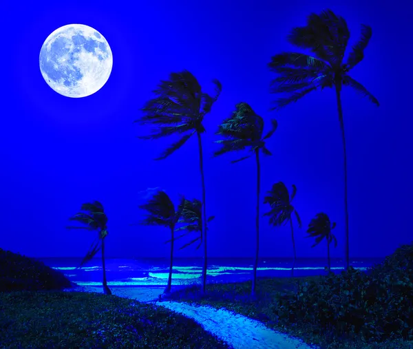 Τροπική παραλία στην Κούβα, τη νύχτα — Φωτογραφία Αρχείου