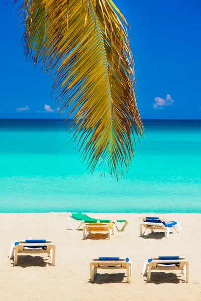 Liści palmowych i leżaki na plaży varadero Kuba — Zdjęcie stockowe
