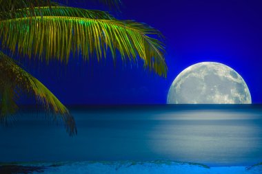 ay bir tropik sahil su üzerinde yansıyan