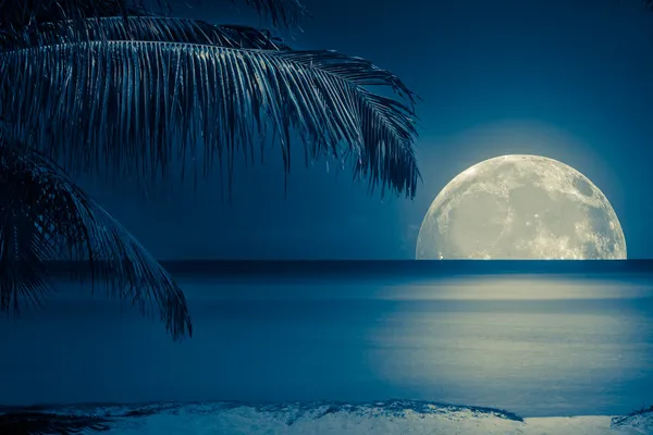 Månen återspeglas på vattnet i en tropisk strand — Stockfoto