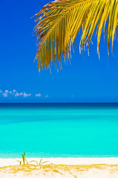 쿠바에서 varadero의 아름 다운 해변 — 스톡 사진