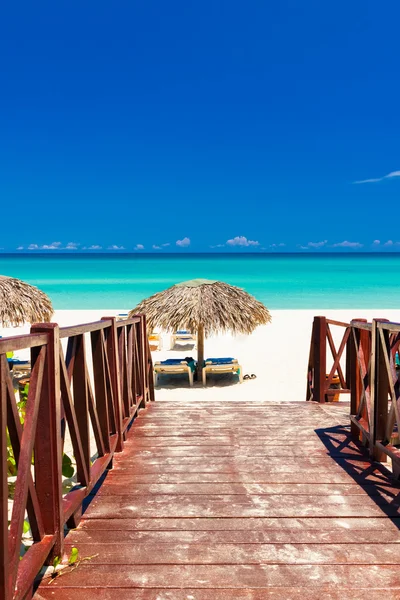Wandelpad leidt tot een tropisch strand in cuba — Stockfoto