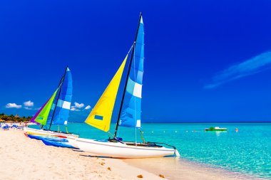 The beach in Cuba clipart