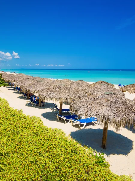 Αχυρένιες ομπρέλες σε μια παραλία στην Κούβα — Φωτογραφία Αρχείου