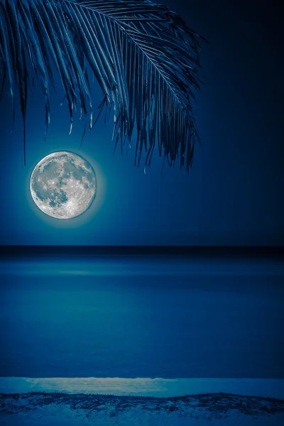Plage la nuit avec une pleine lune éclatante — Photo