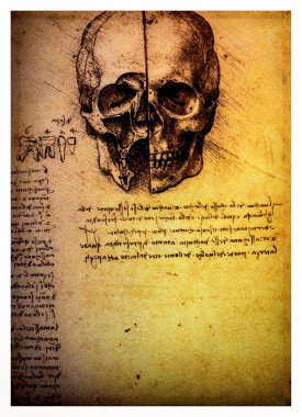 Ancient anatomical drawings by Leonardo DaVinci clipart