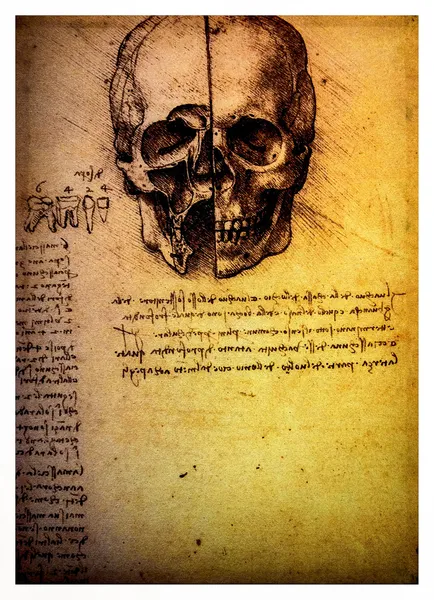 Antika anatomiska teckningar av leonardo davinci — Stockfoto