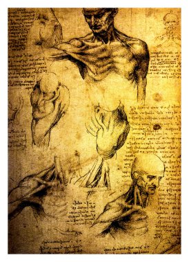 Ancient drawings by Leonardo DaVinci clipart