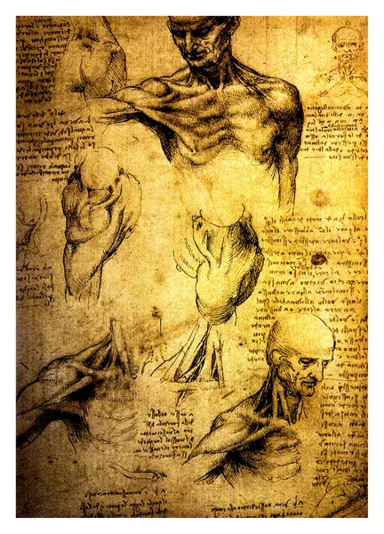Ancient drawings by Leonardo DaVinci — Stock Photo, Image