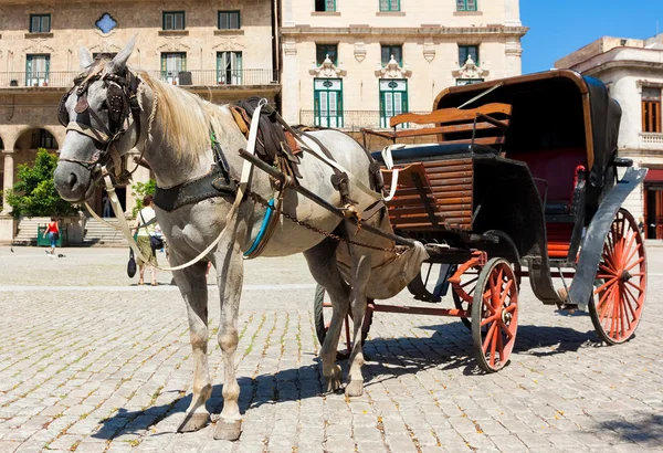 Eski Havana'da at arabası — Stok fotoğraf