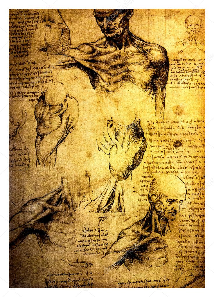 Ancient drawings by Leonardo DaVinci
