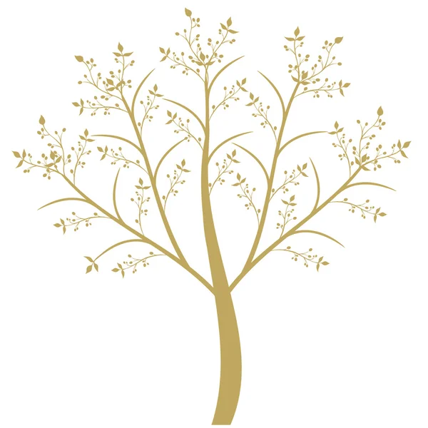 Zeytin ağacı — Stok Vektör