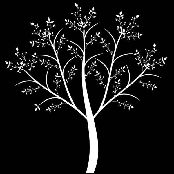 Zeytin ağacı — Stok Vektör
